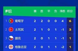 奥地利队客场失利，欧洲杯晋级形势有所恶化的简单介绍