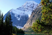 河南建业在比赛中展现出不俗的实力，如何在赛季中继续坚持下去？的简单介绍