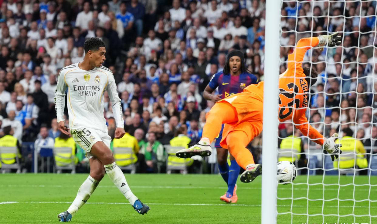  隆波通动中禅视频 